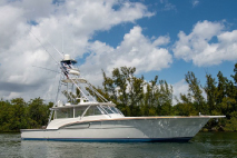 58' Donzi
Sold to South Carolina
Lion's Den