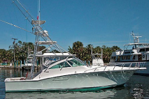 45' Cabo