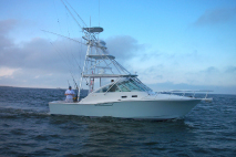 35' Cabo