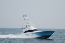 61' Viking