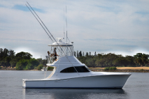 37' Viking