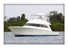 55' Viking Convertible