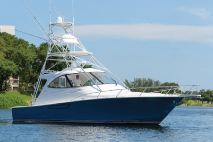 Pelagic Predator