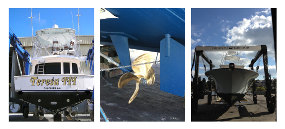 Yacht Survey