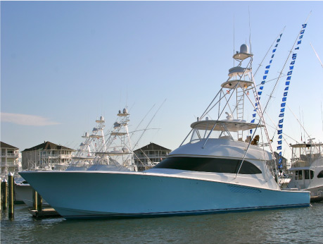 Record Billfish Day