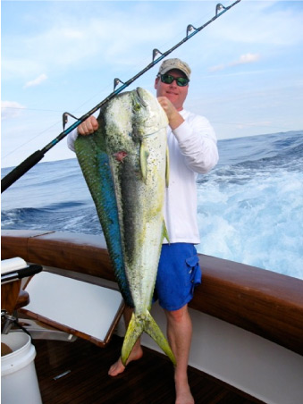 Dolphin Catch