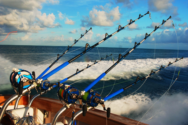 Sportfishing Rods and Reels