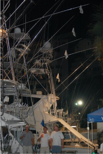 Dolphin Catch
