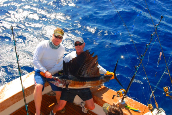 Chub Cay Sailfish